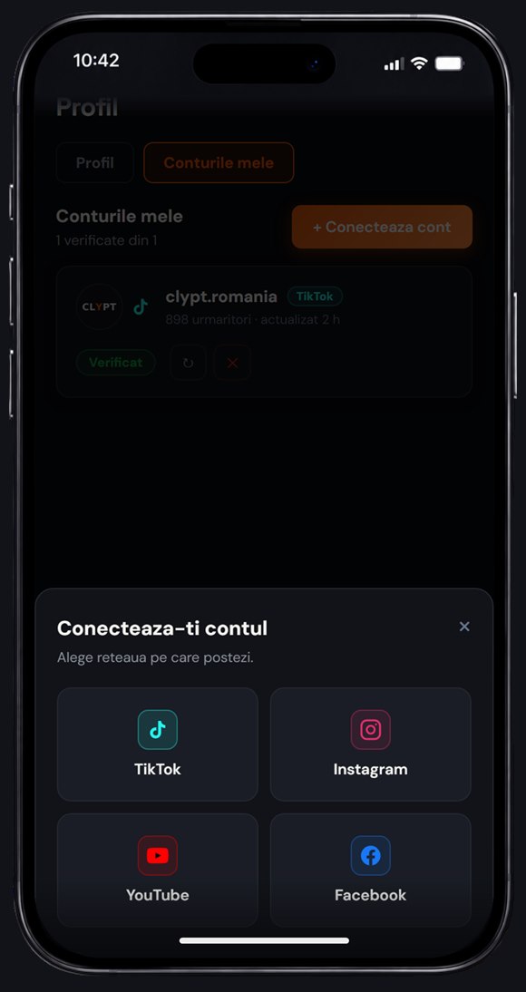 Alegerea rețelei la conectarea unui cont